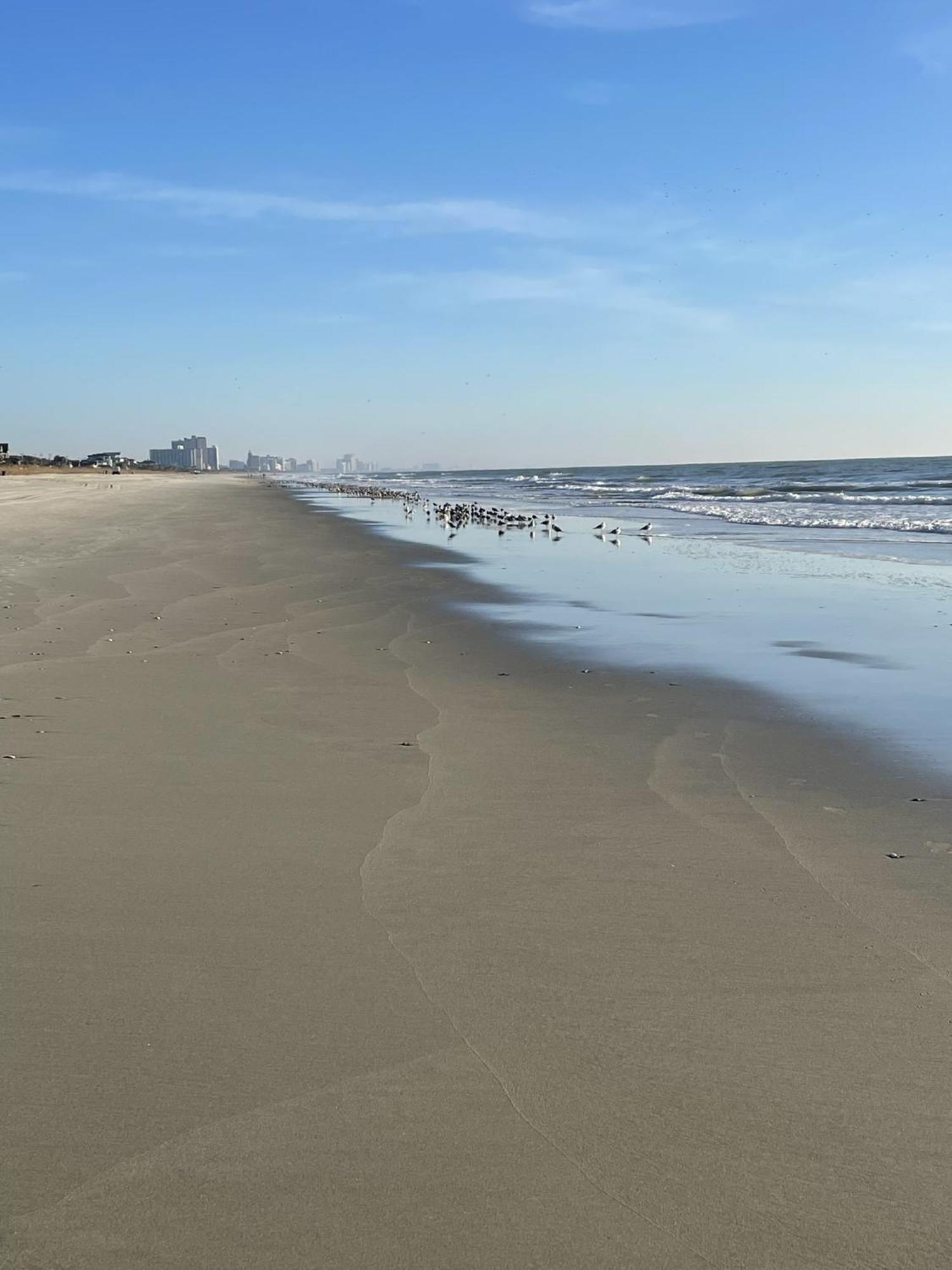 Blue Palmetto Vacation Rentals Myrtle Beach Extérieur photo